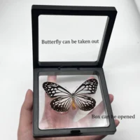 1pcs Real Butterfly Specimen Insect Home Decor Photo Frame   Desk Decoration Figurines Birthday Gift Teaching Training 2
