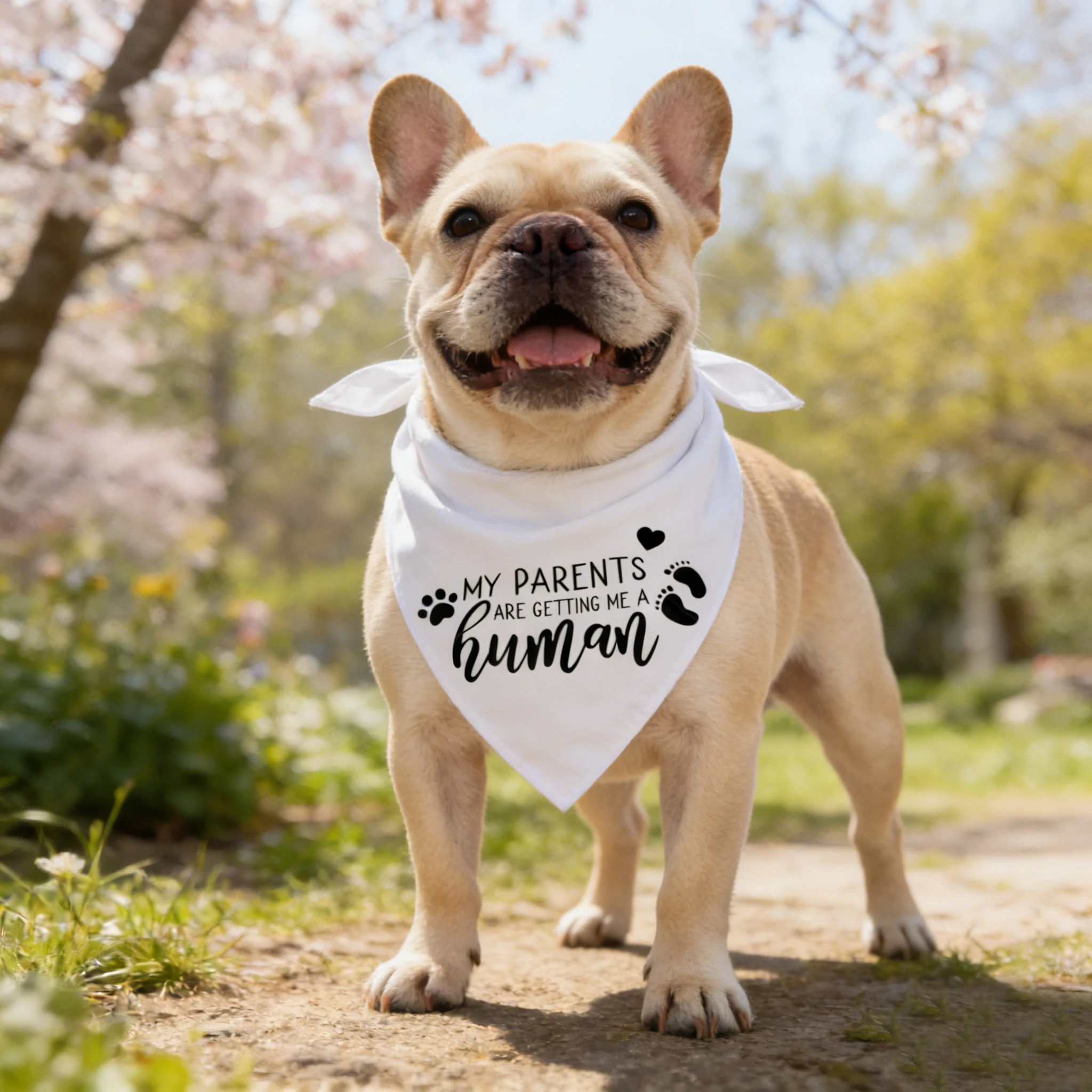 Sucado Dreieckstuch-Halstuch-Kostüm für Hunde und Katzen, „Meine Menschen heiraten“, „Sie haben ja gesagt“, geeignet für Babypartys, Hochzeiten – Detail 9