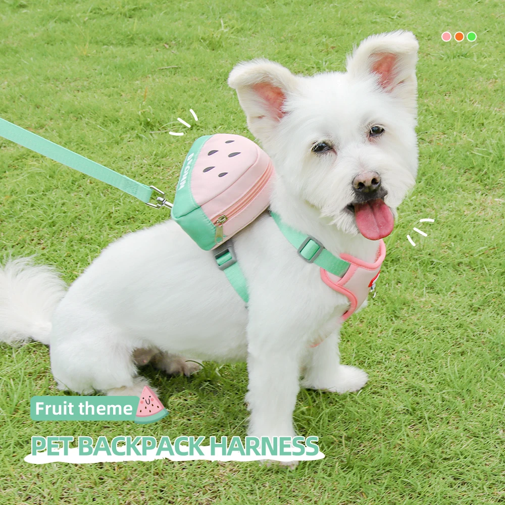 Fruit Pet Backpack Harness Set 4