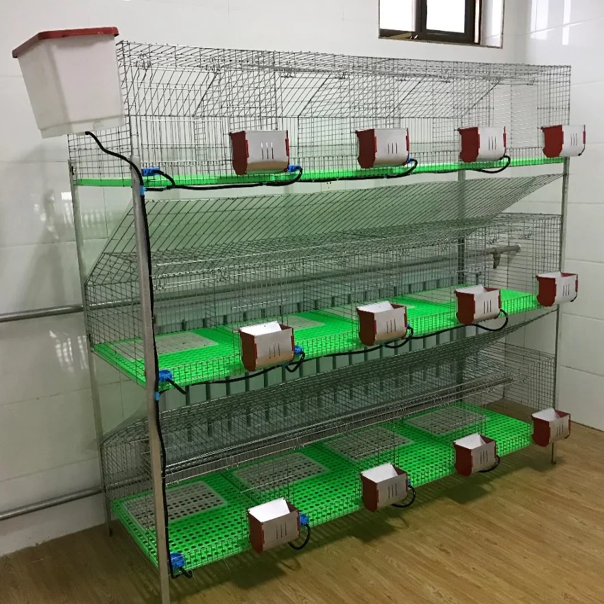 Industrial Breeding Rabbit Cage Stainless Steel Rabbit Cage 2