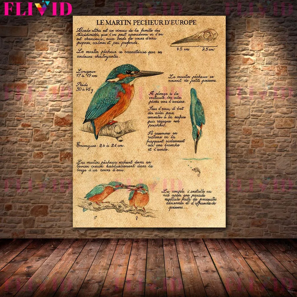 Vintage Wildlife Art Poster: Hedgehog, Bat, Sparrow - Biological Knowledge Print