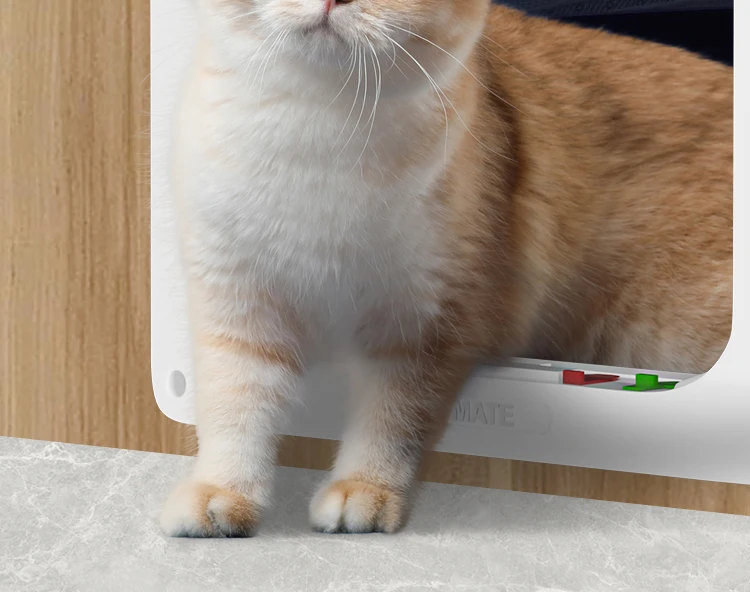 S2b19f405135e4874b0066d8aef350a49S.jpg?width=750&height=592&hash=1342