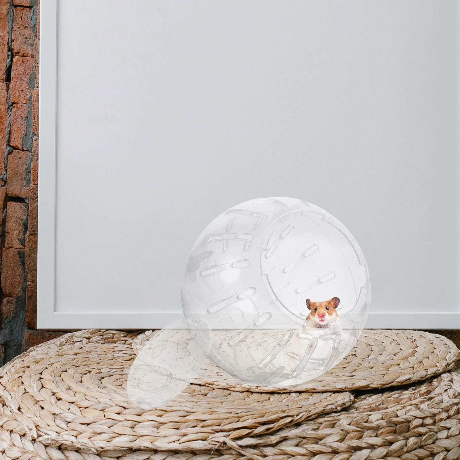 Exercise Wheel 10com Rabbit Hamster Plastic Running Balls for Chinchilla