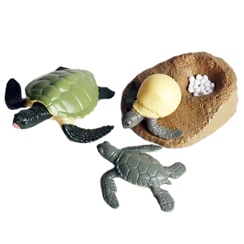 

Simulated Marine Life Model Toys Sea Turtle Life Cycle Biological Cognitive Educational Toys for Children Animals Toys Set