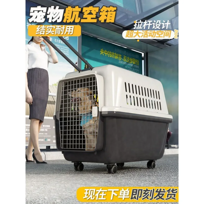 Outdoor Pet Travel Luggage Creativity Honeycomb Door Breathable Cat Carrier  Box Dog Portable Air Case Consignment Rabbit Cage - AliExpress