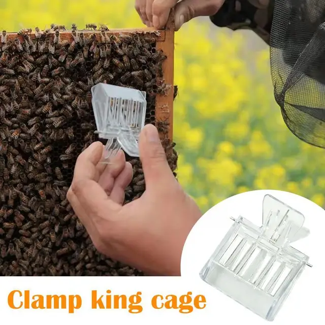 Bee Cage Queen Catcher Színtelen Műanyag Méhészeti Klip Szerszámok Elkülönítő Helyiség Méhész 5Db Ketrec Berendezések Z4M8