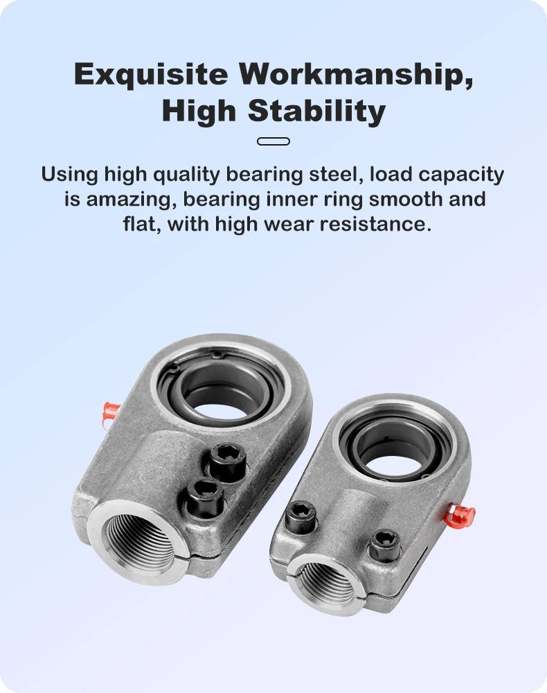 Hydraulikzylinder-Ohrring GAS20 GAS30 GAS40 GAS50 GAS60 GAS70 GAS80 GAS90 Gelenkkabel-Gelenklagerzylinder – Detail 7