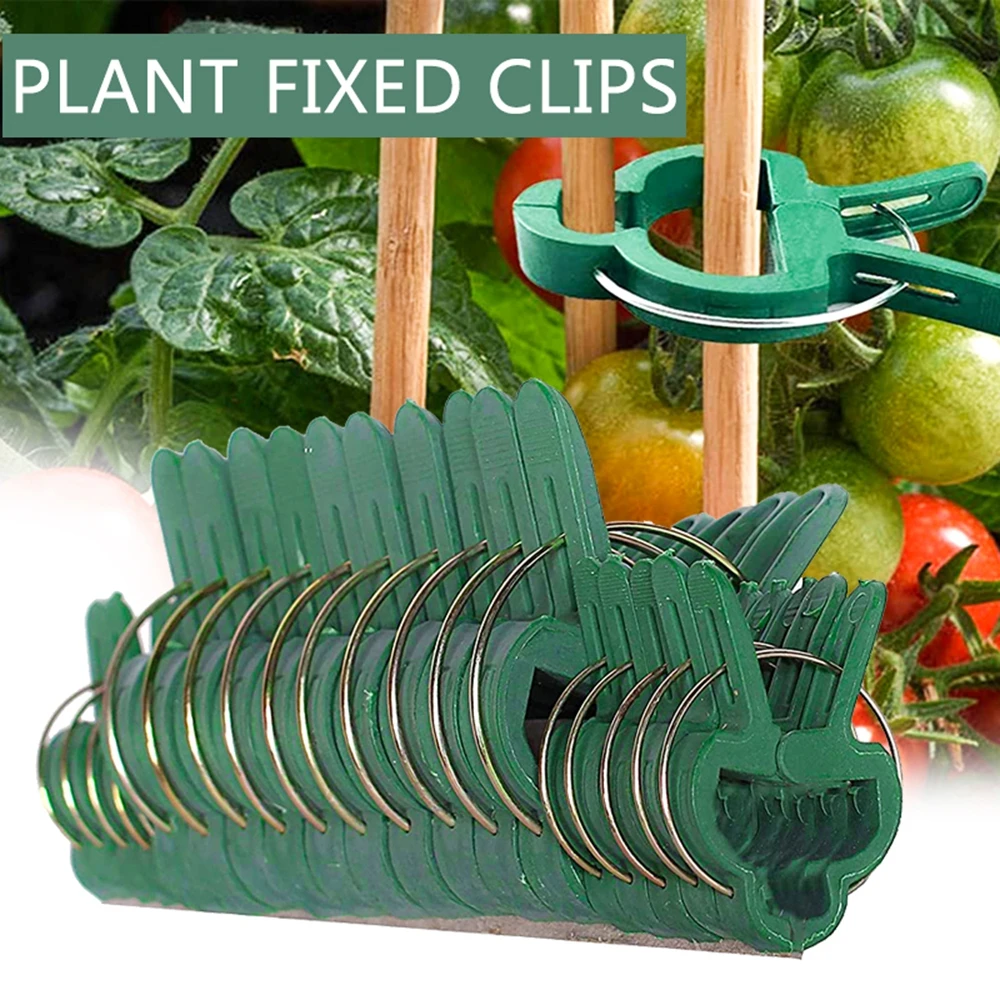 

Pcs Planting Stakes Connector Branch Clamping Vine Support Support Clips Plant Fixed Clamp Farm Supplies Garden Tool