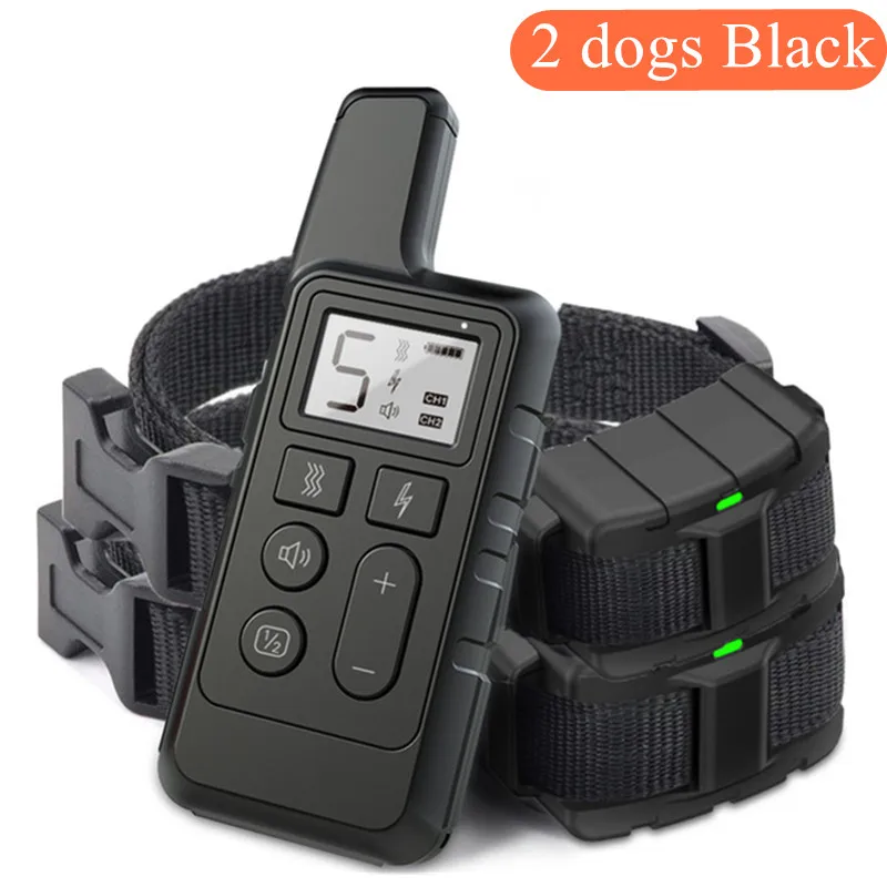 2 dogs black