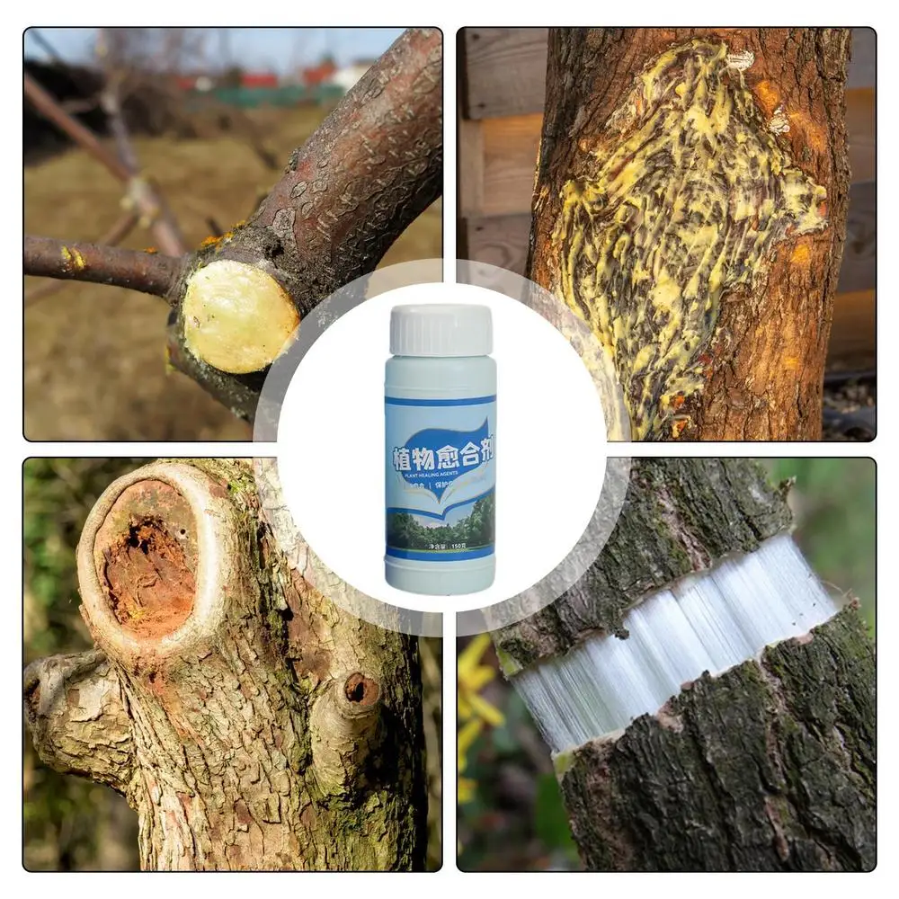 Description Picture 5 of itemTree Wound Pruning Sealer Wound Care Damaged Trees Quick Recovery Bonsai Cutting Cream Wound Repair Tools For Daily Tree Care
