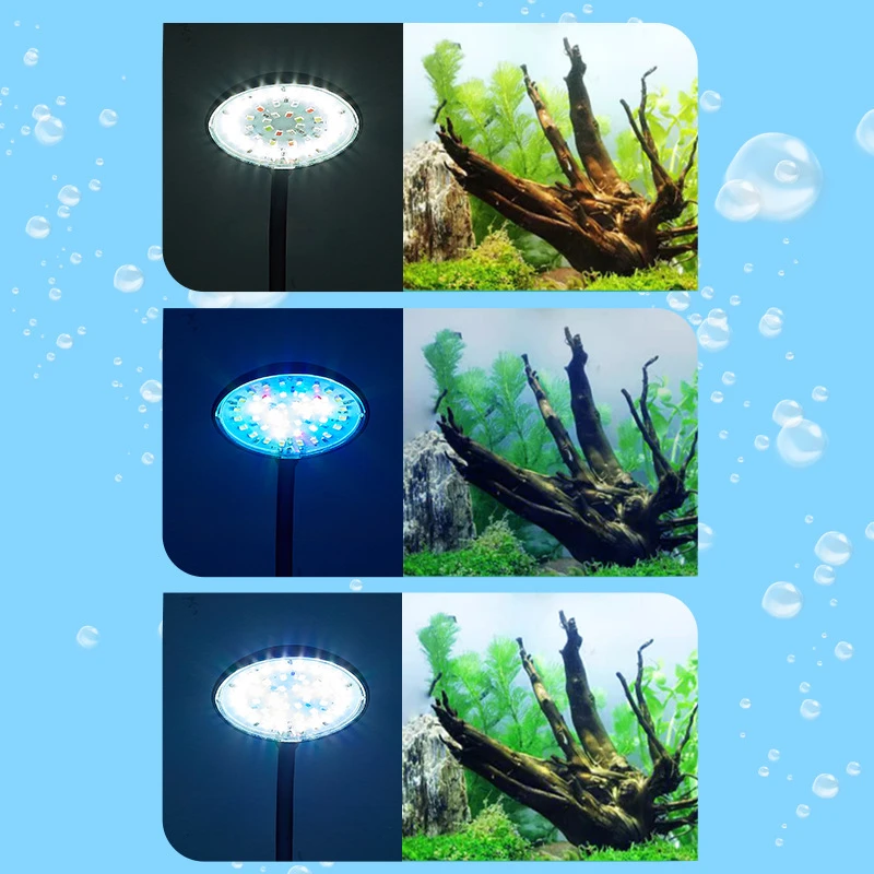 LED Lamp Aquarium Light Aquarium Lamp 5W7W Fish Tank Clip Lamp USB Power Decorate