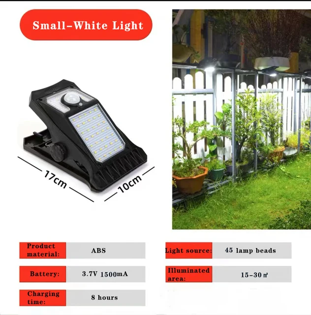 Small - White Light
