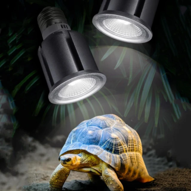 5.0/10,0 UVA UVB Reptilien lampe Voll spektrum LED UV Sonnen lampe  Schildkröte Sonnen plattform Eidechse Schlange Heizung Glühbirne Terrarium  Lampe - AliExpress