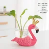 Creative Hydroponic Plant Vase Glass Transparent Container Dish Water Planting Flower Pot Living Room Decoration Decoration 6
