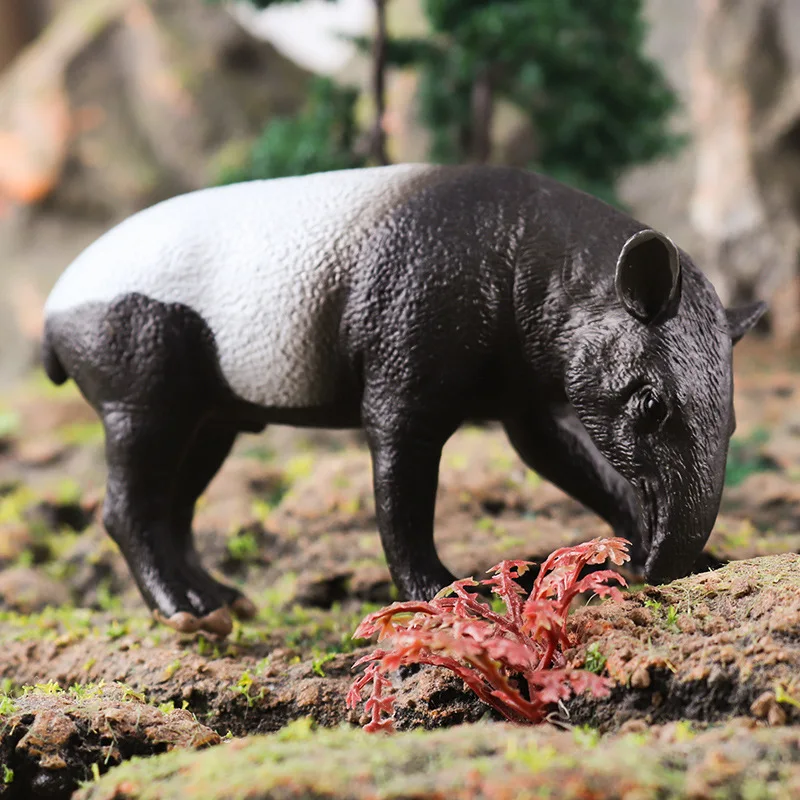 Имитирует Твердые дикие животные Малайзия тапир модель Когнитивное раннее  образование дисплей подарок | AliExpress