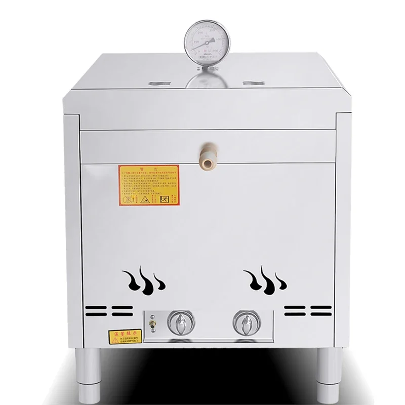 Pizza Oven Commercial Gas Oven Pizza Outdoor Freshly Baked Mobile Machine Manual Baking