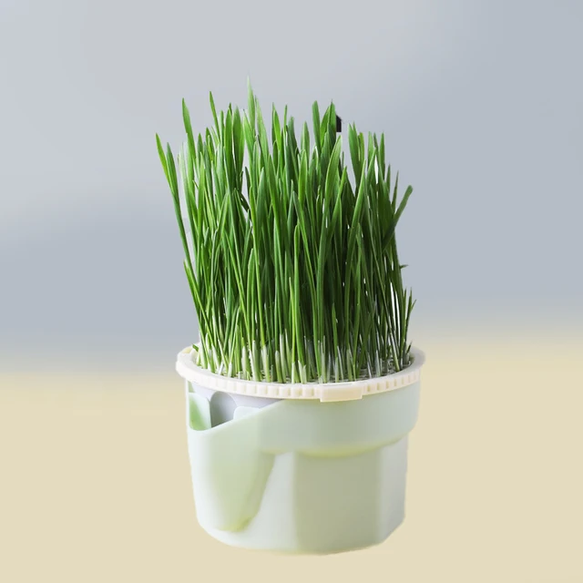 Macska Snack Menta Ültetés Hidroponikus Műanyag Doboz Edény Kontrasztú Det Füves Növény Tál Vetőmag Kert Nélkül - Image 2