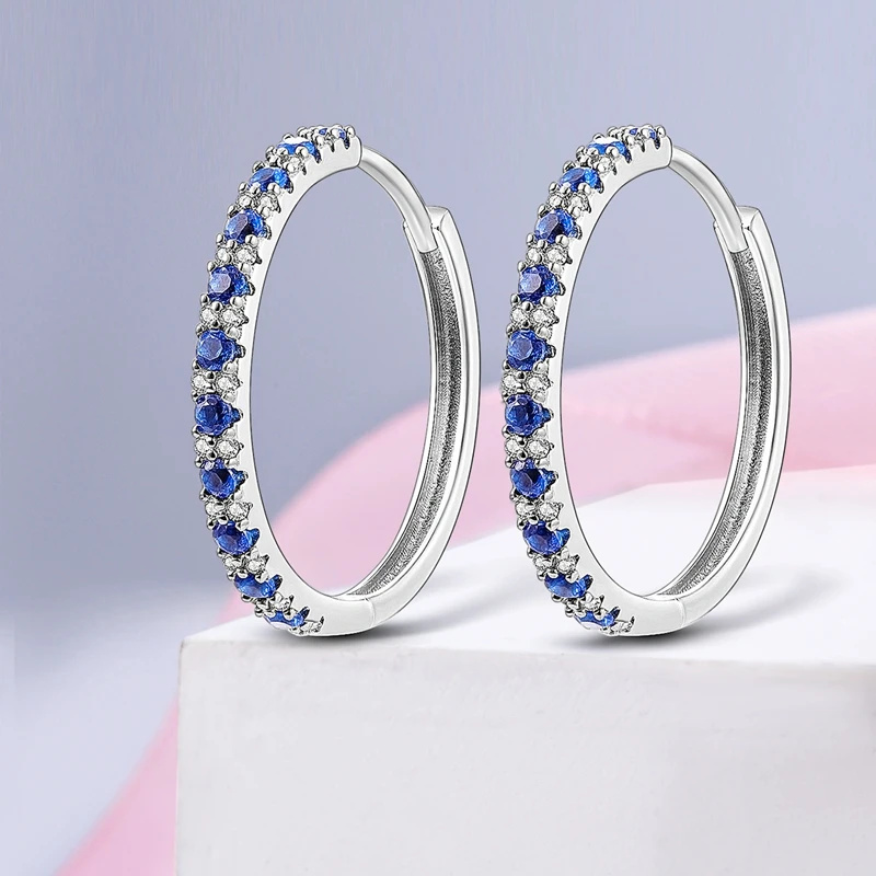 2022 Charm Double Hoop Earrings 925 Silver Sparkling Pave Stud Earring Gift For Women Engagement Jewelry Anniversary