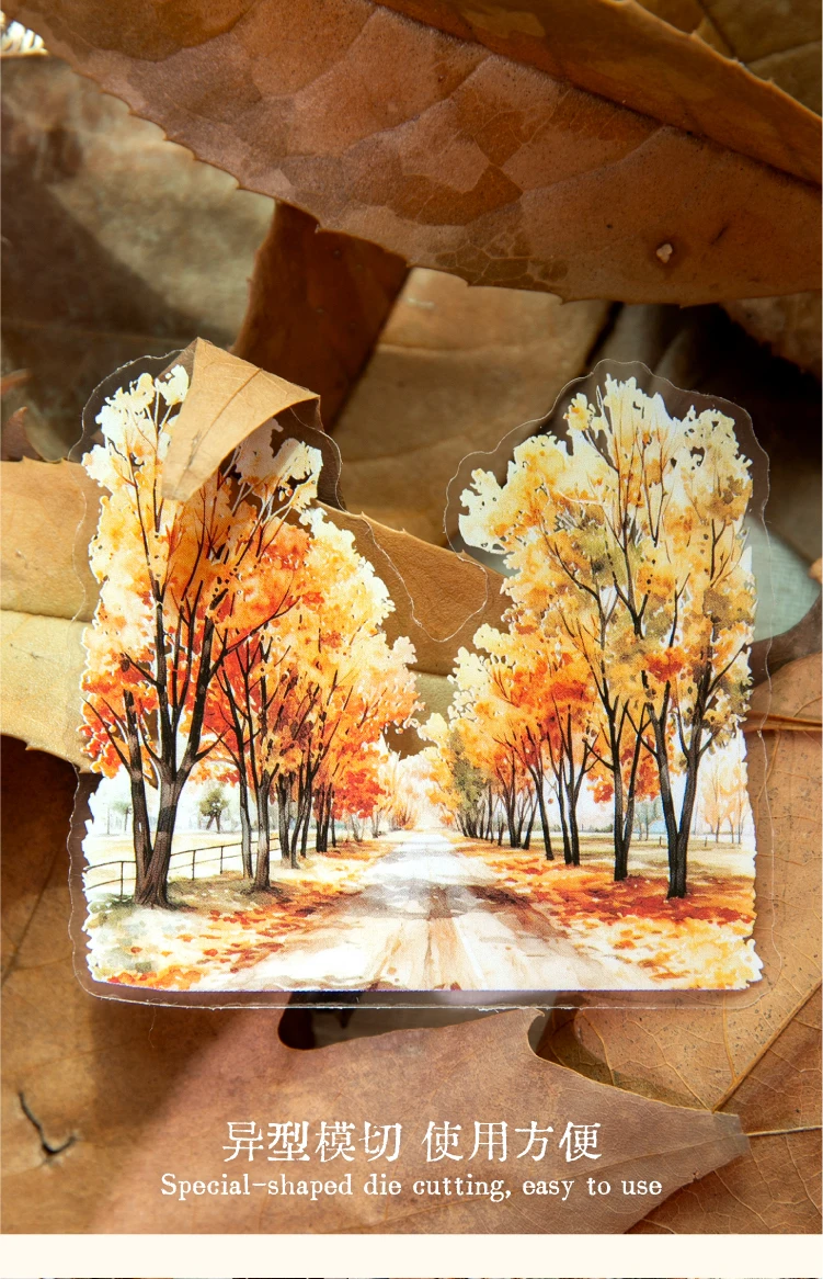 30 teile/paket Herbst Thema PET Aufkleber Scrapbooking Materialien DIY Junk Journal Collage Collage sprache Dekor Aufkleber – Detail 7