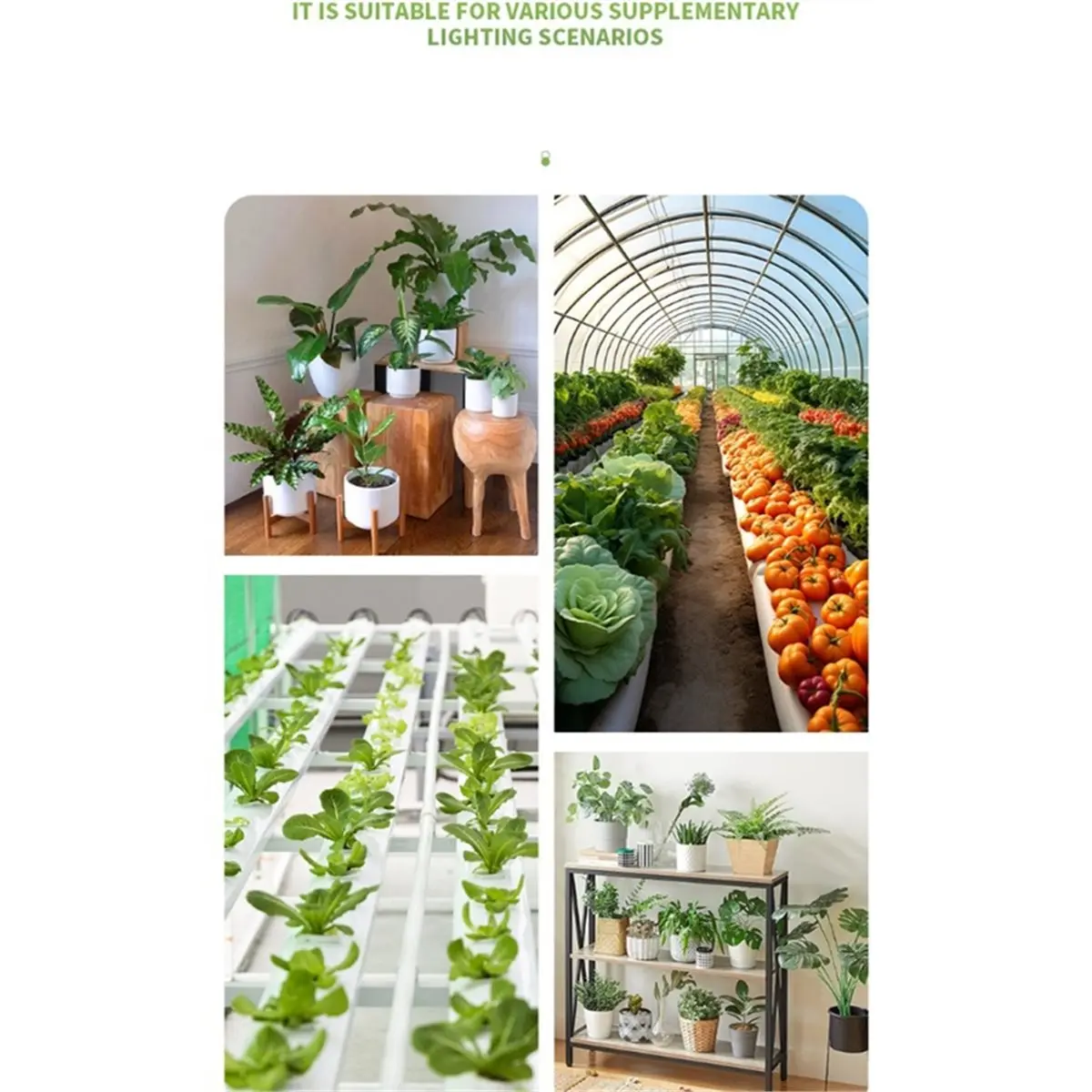 618 메가 세일 120W LED 식물등 이중 디밍 가능 VEG 블룸 듀얼 모드 LED 성장등 식물등 풀 스펙트럼 성장 조명 US 플러그