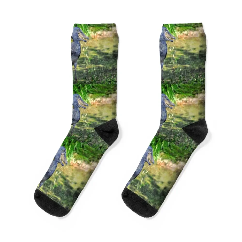 

Shoebill Socks Christmas football Argentina Socks For Men Women's
