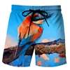 Funny Duck Graphic Beach Shorts for Men 3D Print Animal Board Shorts Sports Gym Swim Trunks Swimsuit homme Cool Ice Shorts Pants 5