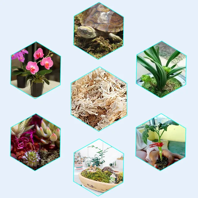 6L/12L Sphagnum Moss Nutrition Organic Mertilizátor Orchidea Phalaenopsis Musgo Virágkerti Kellékek - Image 2