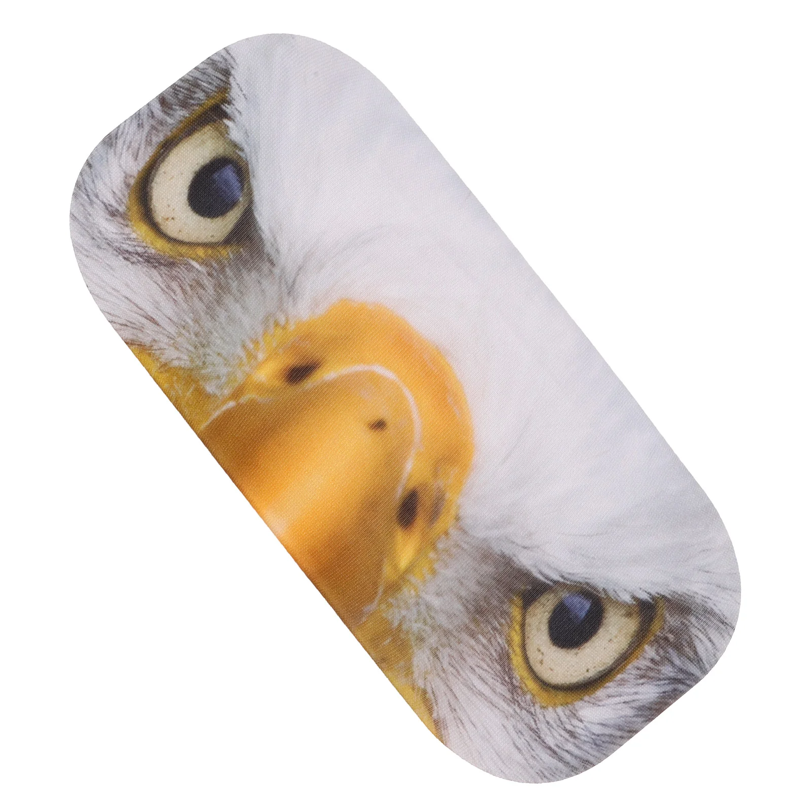 Рисунок 5 - Защитные лыжные очки