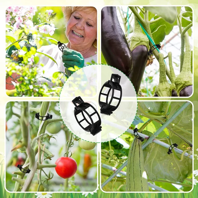 50/10 Százalékos Műanyag Növényi Klipek Szőlőhely -Klipes Csat Kampók Összekapcsolják Az Újrahasznosítható Tartó Kertészeti Készleteket A Zöldség Gyümölcsökhöz - Image 5