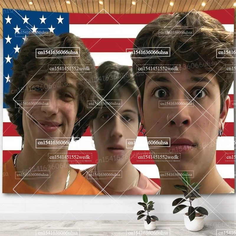 Sturniolo Triplets American Flag Wall Hanging Tapestry Funny Merch Meme Tapestries Room Decor Aesthetic Dorm Party Backdrops party decorations,tapestry decorations