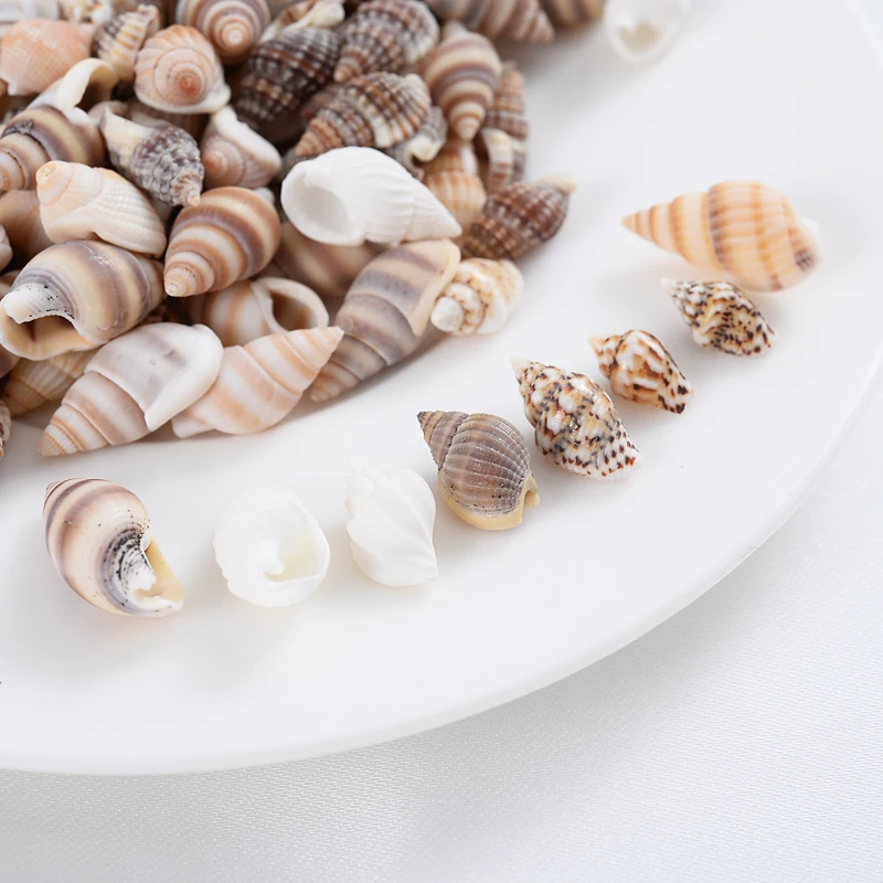 Natural Small Conch Shape Charm Shell Beads Spacer Beads For Jewelry Making DIY Fahion Necklace Bracelet Accessories natural shell ornaments