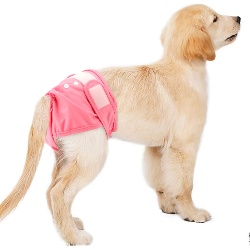 Reusable Dog Diaper Pant Physiological Pants Washable Female Girl Dogs  Shorts Pants Absorbent Pets Underwear Sanitary Panties