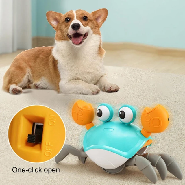 Dog Entertainment Toy Electric Pet Toy for Dogs Cats Crawling Crab Toy Fun  Music Lights Sensor Escape Educational for Pets - AliExpress