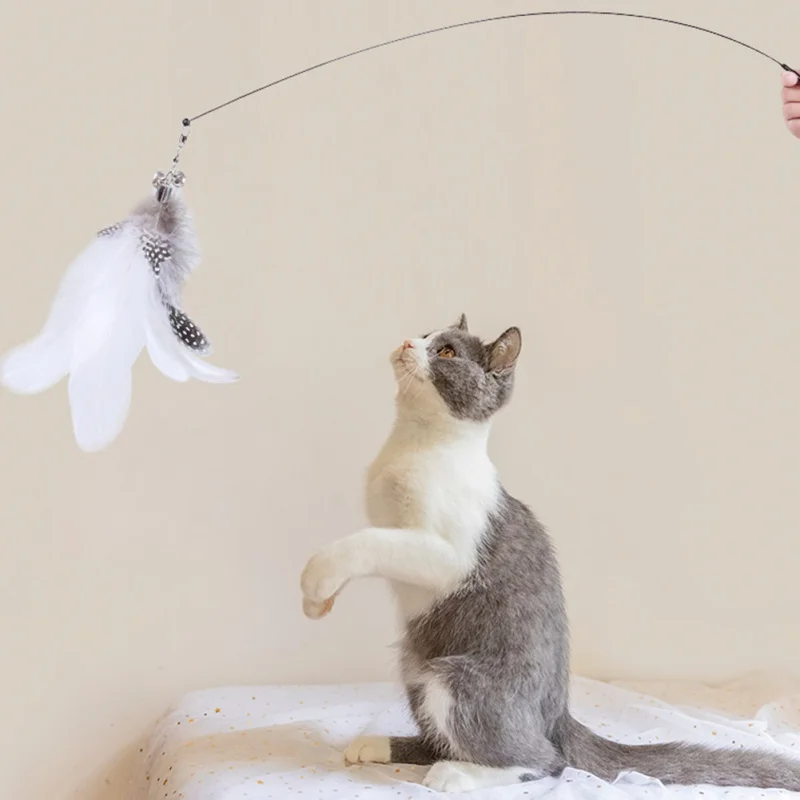 

Interactive Cat Toy Handfree Cat Stick Toy Suction Cup Teaser Toy for Kitten Playing Chase Exercise Cat Toy Supplies Feather Cat