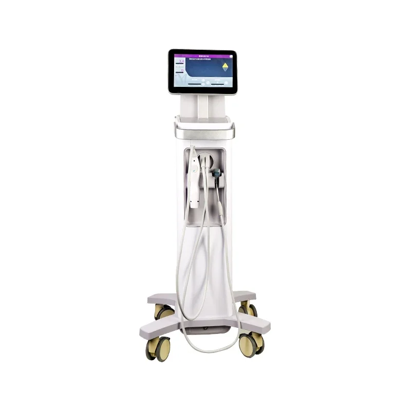 

Beauty Equipment 2022 New Fifth Generation Nitrogen Cooling FLX Anti Aging Treatment Fractional Machine