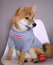 

French Bulldog Clothes Pupreme Warm Sport Retro Dog Hoodies Pet Clothes Puppy Outfits Pugs Puppy Small dog Clothes Dog Hoodie