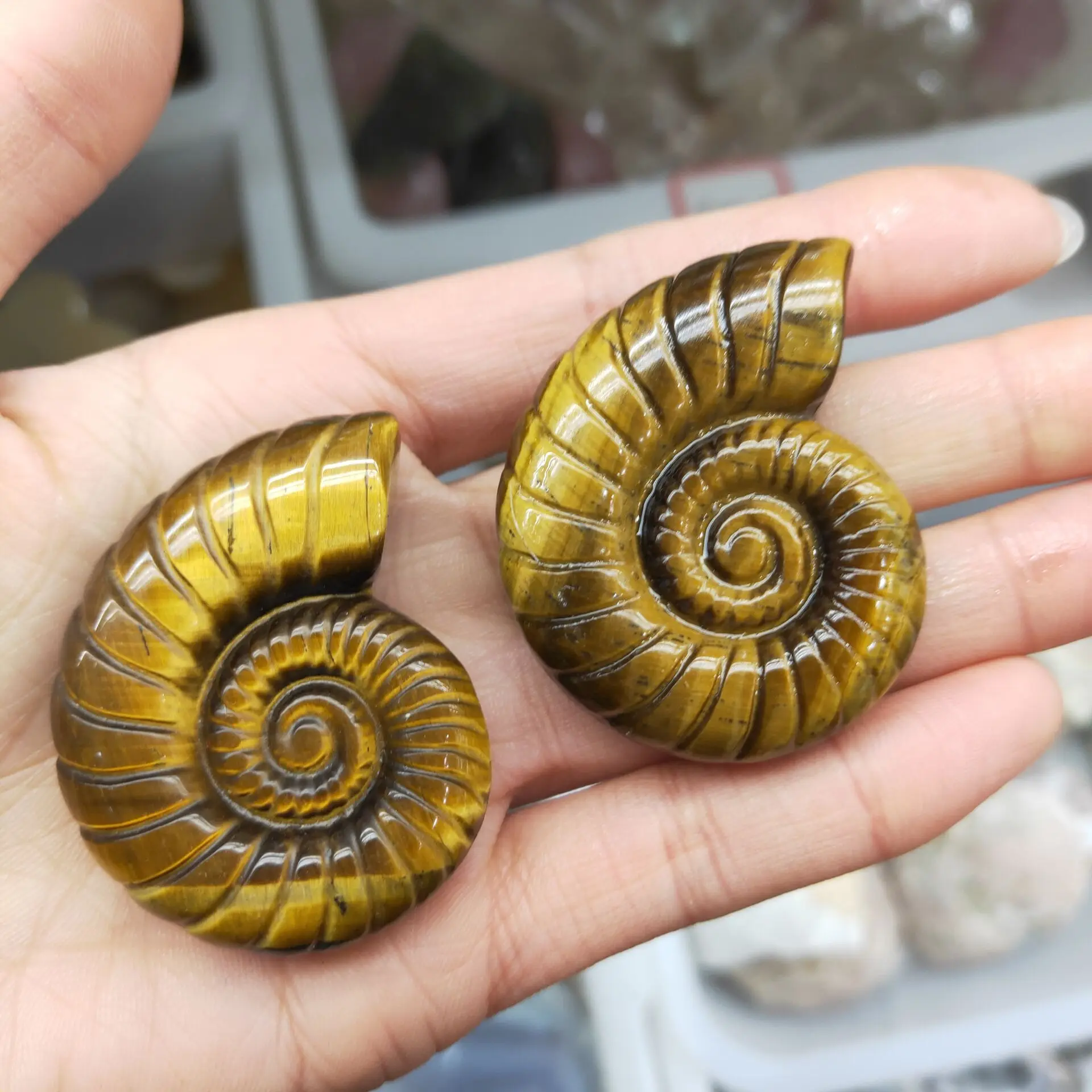 

Natural Tiger Eye Stone Sea Snail Carved Decoration Healing Crystal Reiki Figurine Quartz Gemstone Ornament Craft Gift