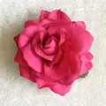 Rose Red