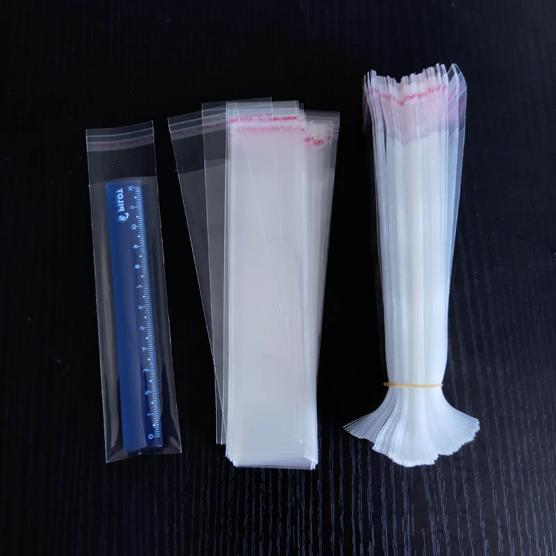 MGE - 100 Sacchetti in Plastica Trasparente 25x25 cm, Buste in Cellophane Richiudibili Con Chiusura - Ideali per Regalo, Caramelle, Biscotto