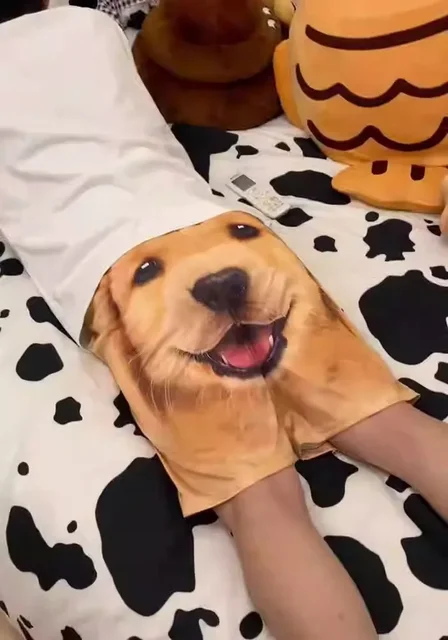 Golden Retriever Shorts Dachshund Jogging Pants Casual Couple