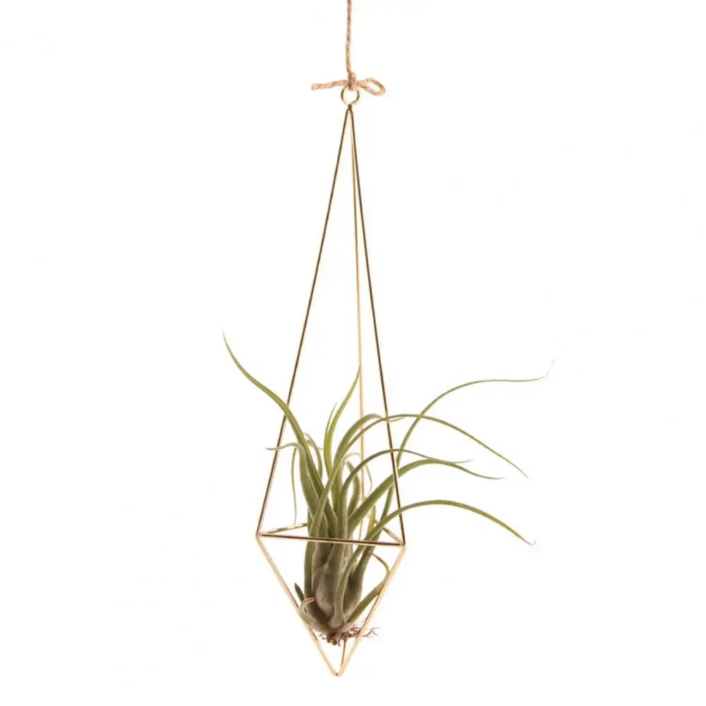 

Hollow Design Plant Stand Geometric Glass Terrarium Propagation Station with Iron Stand for Home Office Decor Plant Lover