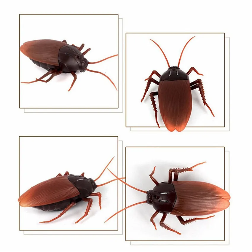 Infrared RC Insects Cockroach Spider Ant Prank Joke Scary Trick Bugs Model Electric Animals Horrible Simulation Toys for boys 5