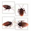 Infrared RC Insects Cockroach Spider Ant Prank Joke Scary Trick Bugs Model Electric Animals Horrible Simulation Toys for boys 5