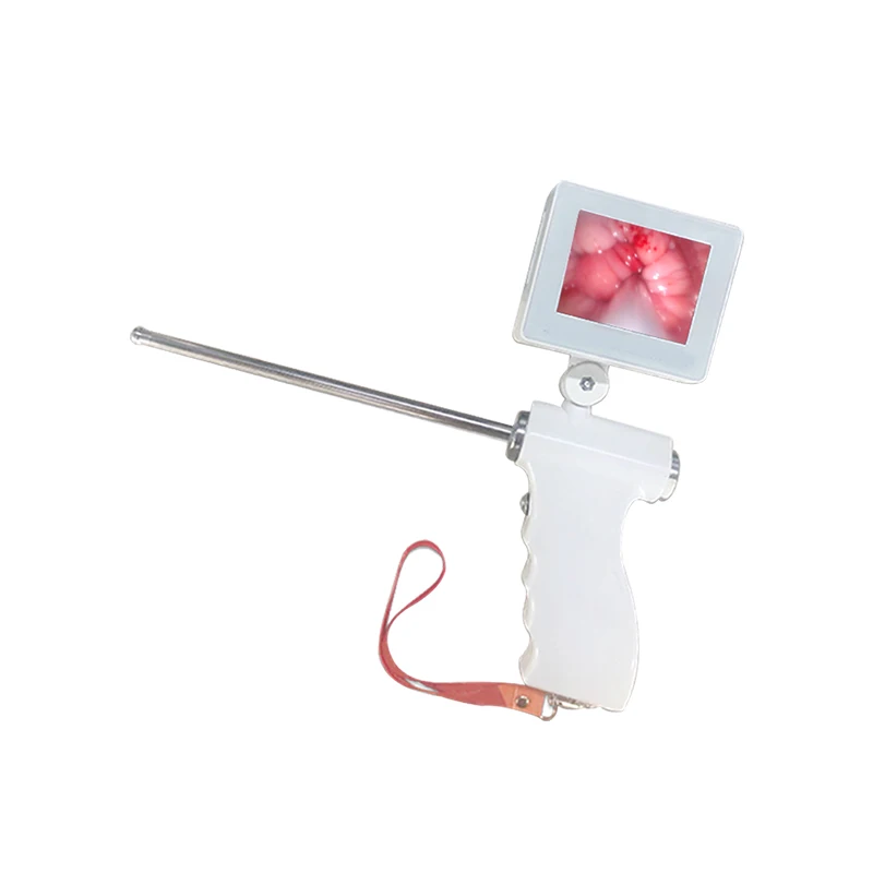 

Ai Visualization Dog Artificial Insemination Gun Hd Original Wholesale Kit
