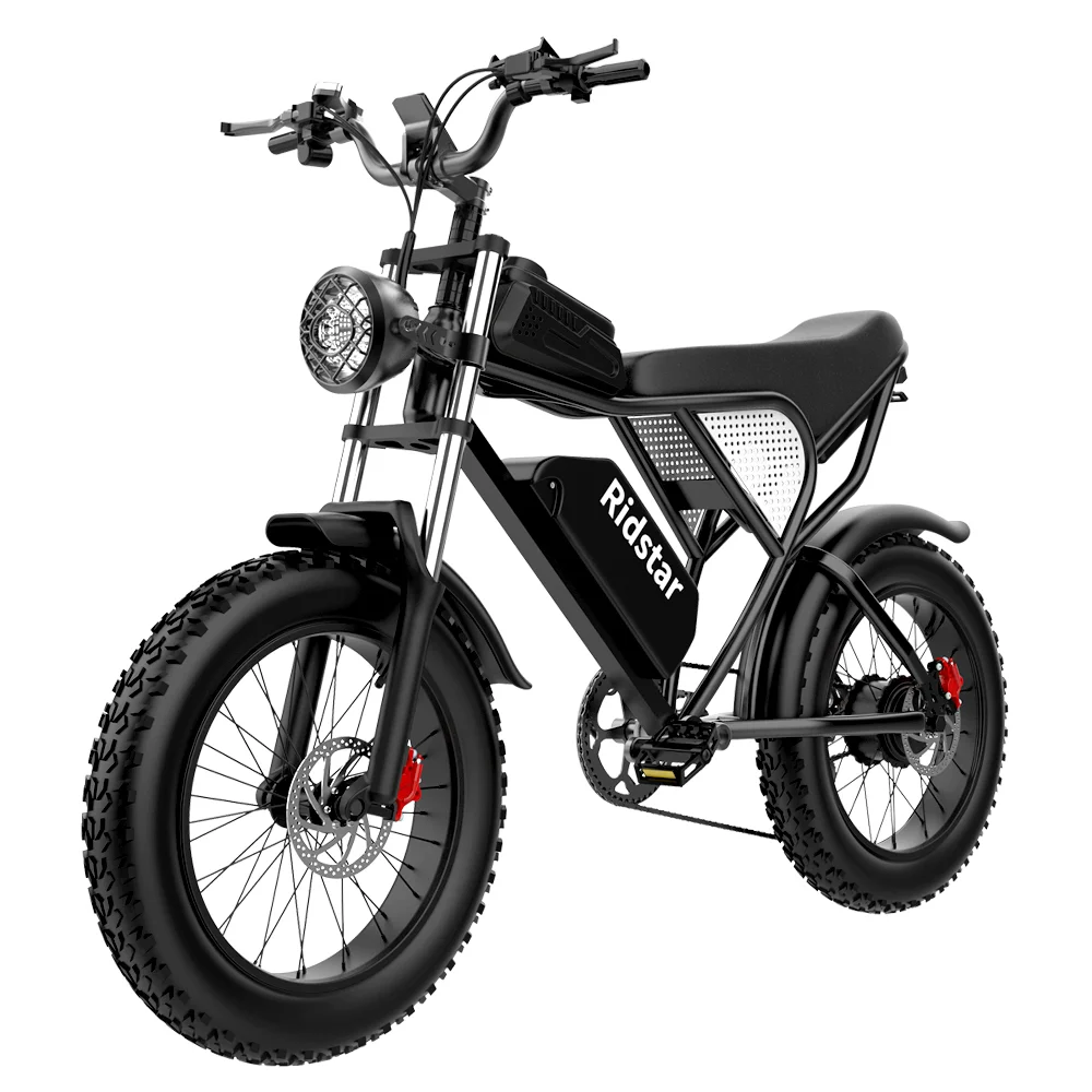 Electric bicycle Q20 1000W 48V 20Ah, with hydraulic disc brake, 20inch
