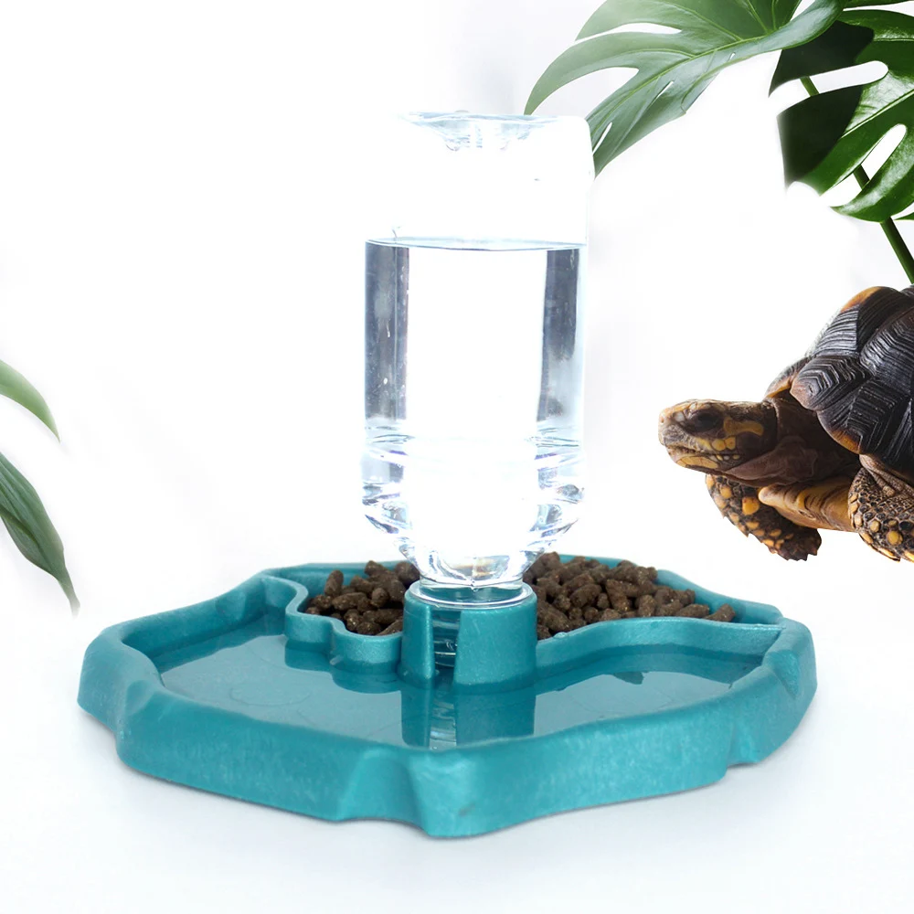 1pc - Reptile Feeder, Turtle Food Dish, 2