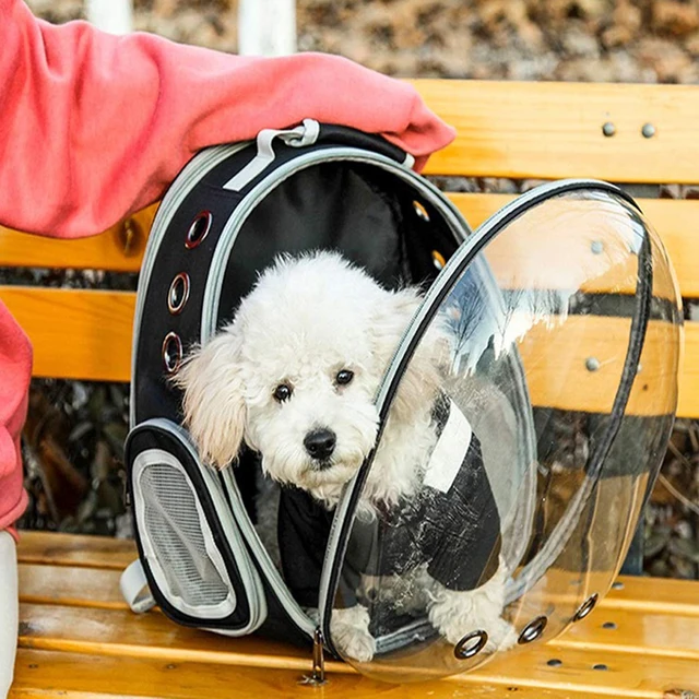 Large-capacity transparent Pet Cat Carrying Bag backpack out portable space capsule shoulder cat bag pet bag Carrier for Travel 5