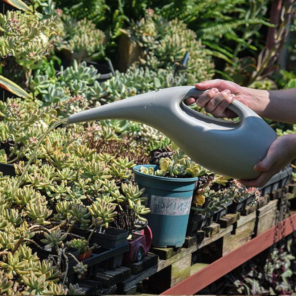 Annaffiatoio per piante, 1 l, per piante da interno, beccuccio lungo, in acciaio inox, con robusto manico in legno, a prova di perdite, per piante da interno, fiori da giardino (bianco