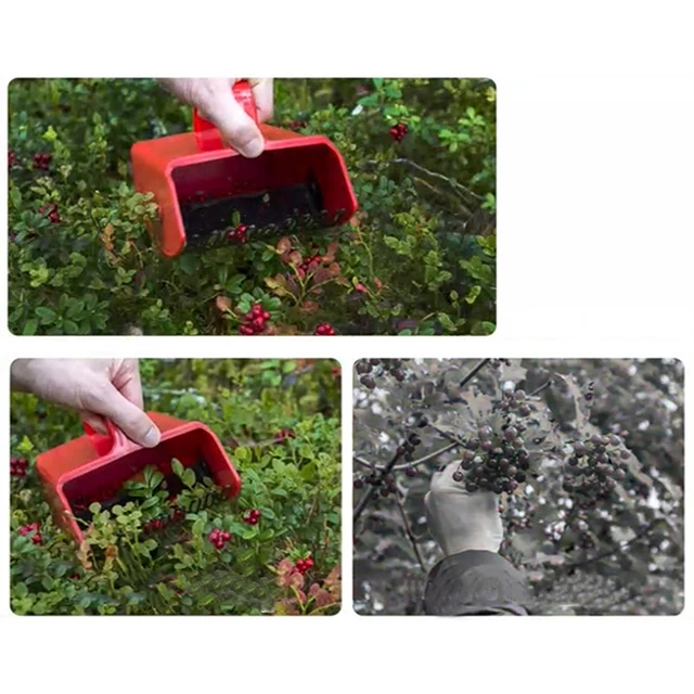 Szuper Praktikus Sárga Bogyós Picker Műanyag Fésű Alakú Áfonya Gerinék Betakarításához Gyümölcsök Szedése Gyógyszeres Mezőgazdasági Kellékek - Image 5