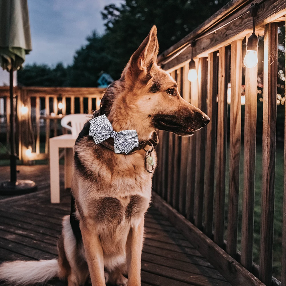 Pajarita para perros y gatos, lazo para perros, Collar de aseo deslizante brillante con diamantes, productos para mascotas de boda, accesorios para perros